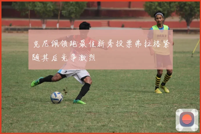 克尼佩领跑最佳新秀投票弗拉格紧随其后竞争激烈