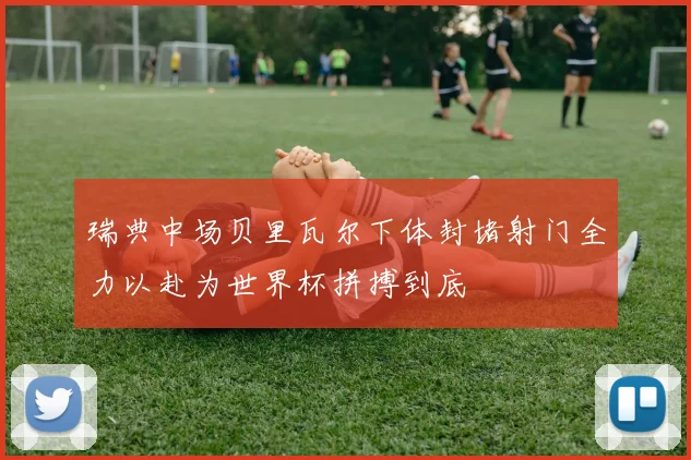瑞典中场贝里瓦尔下体封堵射门全力以赴为世界杯拼搏到底
